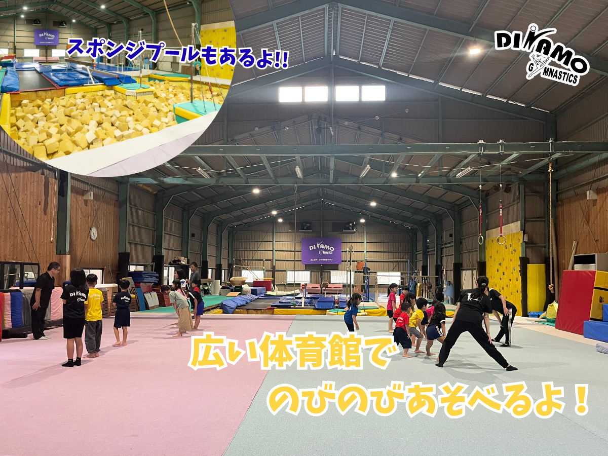 ディナモ体操クラブ氷上校の広い体育館で、子どもたちが体操や運動あそびを楽しむ様子。