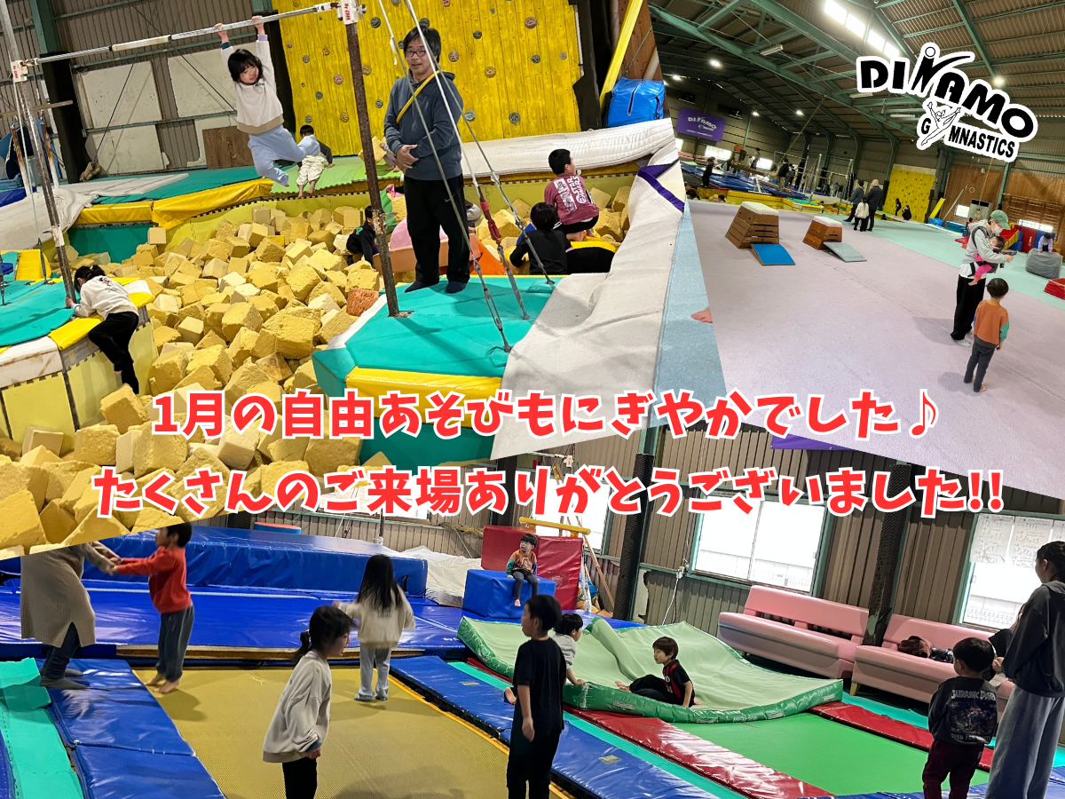 ディナモ体操クラブ氷上校の1月自由あそびの様子。スポンジプールやトランポリンで元気に遊ぶ子供たちと、それを見守る親子の賑やかな写真。「たくさんのご来場ありがとうございました」のメッセージ入り